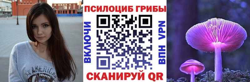 Галлюциногенные грибы GOLDEN TEACHER  купить  цена  Родники 